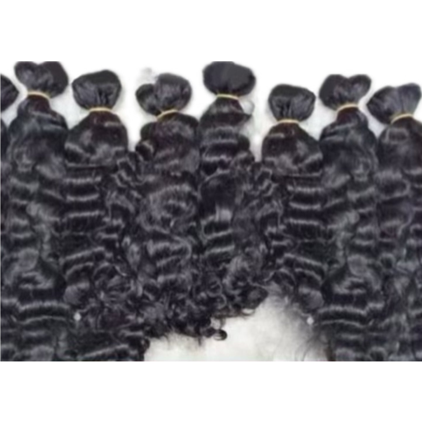 Burmese Curly