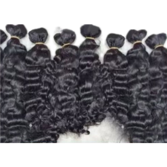 Burmese Curly